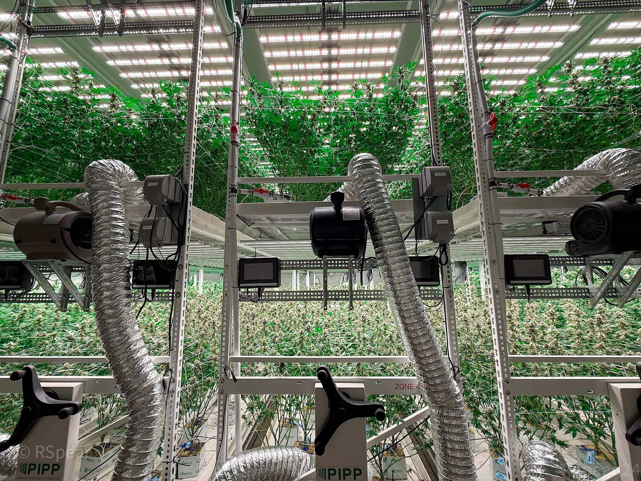 Cultivation facility canopy, lighting, ventilation, and environmental controls